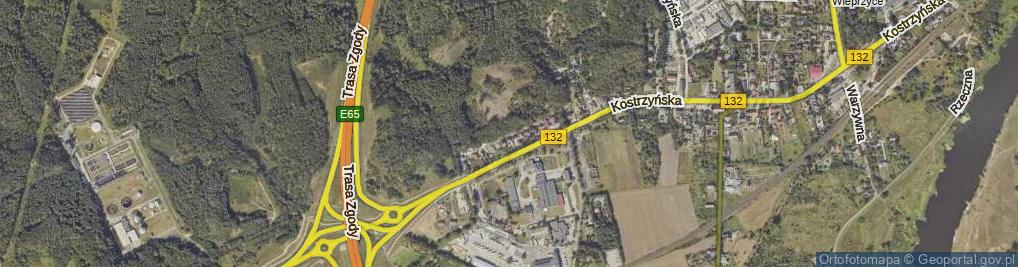 Zdjęcie satelitarne Witnicka ul.